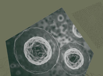 stem cells on a green background